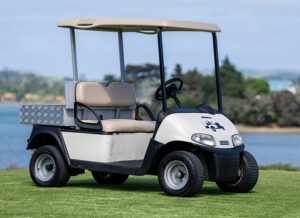 Ute EZGO